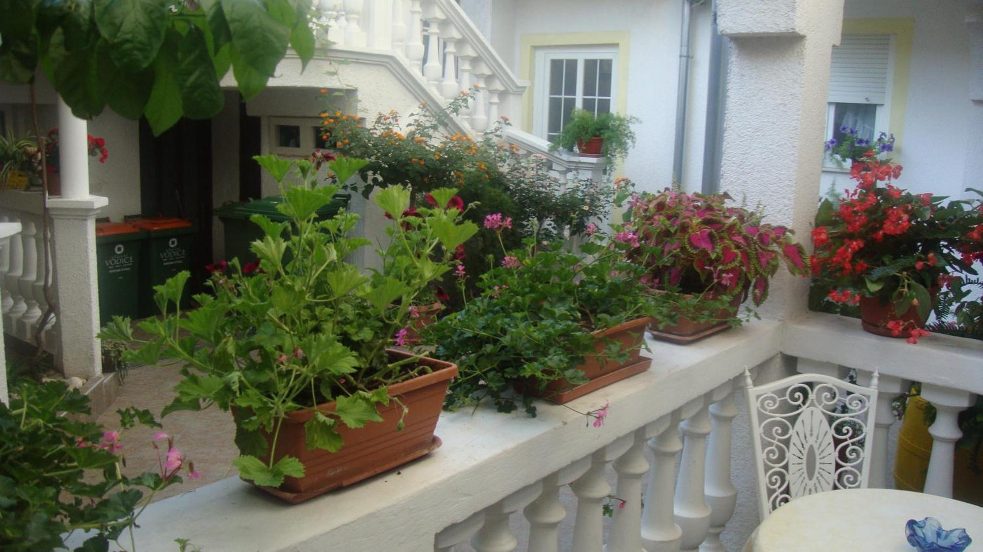 Apartments Vodice Marica Номер фото